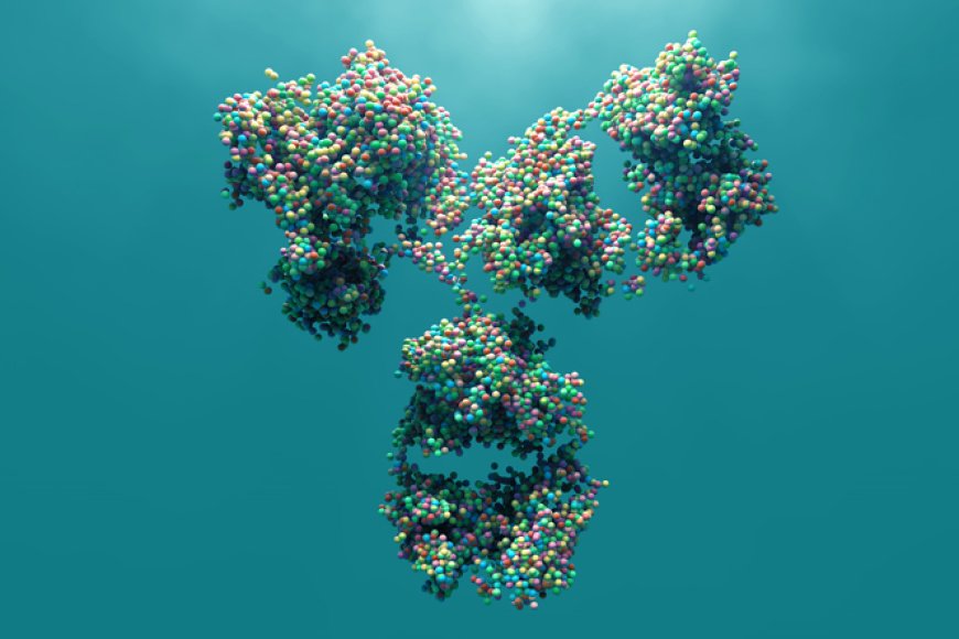 Polynukleotid
