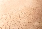Trockene Haut verstehen – Warum Cremen allein oft nicht reicht und wie Du Deine Haut von innen heraus flutest