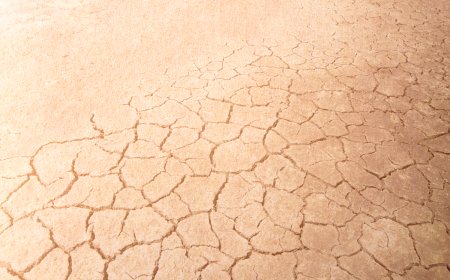 Trockene Haut verstehen – Warum Cremen allein oft nicht reicht und wie Du Deine Haut von innen heraus flutest