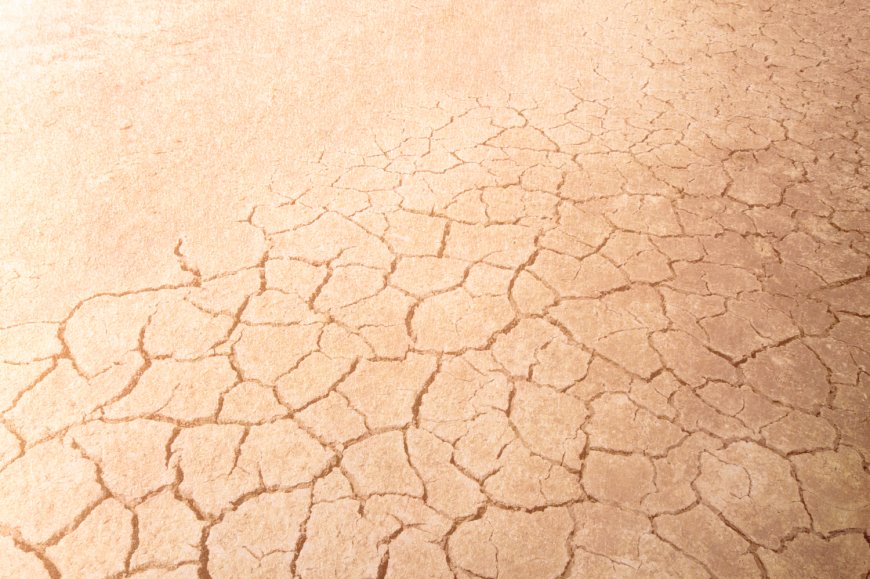 Trockene Haut verstehen – Warum Cremen allein oft nicht reicht und wie Du Deine Haut von innen heraus flutest